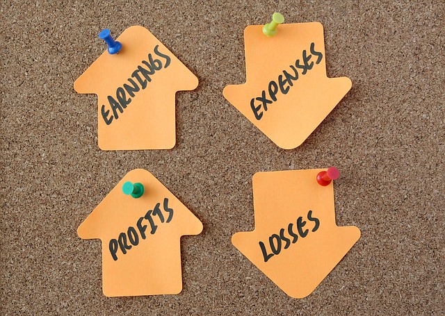 Temporary Finance Director
