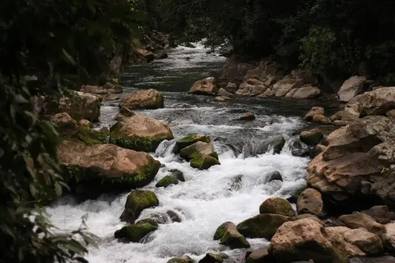 A stream running over rocks to demonstrate a 13 week cash flow forecast